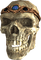 Skull - zadarmo png animovaný GIF