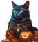 halloween, witch, animal,  herbst, autumn - nemokama png animuotas GIF