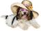 Kaz_Creations Dogs Dog Pup 🐶 - Free PNG Animated GIF