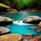 Vibrant Forest Pond - darmowe png animowany gif
