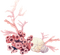 reef coral plant - kostenlos png Animiertes GIF