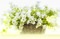 Kaz_Creations Backgrounds Background Flowers - png grátis Gif Animado