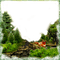 forest  frame by nataliplus - png gratuito GIF animata