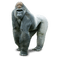 gorilla - zdarma png animovaný GIF