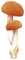 Kaz_Creations Deco Mushrooms  Colours - gratis png geanimeerde GIF