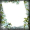 frame cadre flowers - ilmainen png animoitu GIF