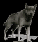 wolf 2 NitsaPap - Ücretsiz animasyonlu GIF animasyonlu GIF