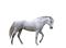 häst-----horse - PNG gratuit GIF animé