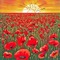 Poppy Field at Sunset - бесплатно png анимированный гифка