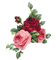 flores  rosas transparentes dubravka4