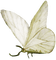 butterfly vintage - zadarmo png animovaný GIF