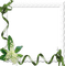 muguet  cadre lily of the valley frame - png gratuito GIF animata