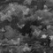 Black and White Texture Background [Basilslament] - darmowe png animowany gif