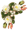 deco frame corner flowers kikkapink vintage asian - PNG gratuit GIF animé
