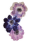 pressed flower purple - png gratis GIF animado