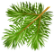pine branch - png gratis GIF animado