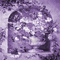 Y.A.M._Vintage flowers background purple - Bezmaksas animēts GIF animēts GIF