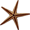 dolceluna starfish - kostenlos png Animiertes GIF