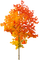 autumn trees bp - ilmainen png animoitu GIF