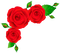 red roses Bb2 - GIF animado grátis