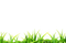 gramilla - Free PNG Animated GIF