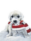 loly33 chien  hiver - darmowe png animowany gif