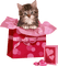 Kaz_Creations Cat-Gift-Love-Hearts - PNG gratuit GIF animé