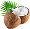 Fruit.Cheyenne63 - Free PNG Animated GIF