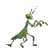 mantis walk - Nemokamas animacinis gif animuotas GIF