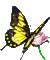 butterflies katrin - GIF animate gratis GIF animata
