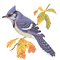 Kaz_Creations  Birds Bird - Free PNG Animated GIF