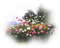 Nina flower - gratis png geanimeerde GIF