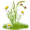 Kaz_Creations Deco Garden Spring Flowers Ladybug Grass - PNG gratuit GIF animé