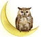 OWL - Bird - darmowe png animowany gif
