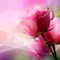rose background by nataliplus - png gratuito GIF animata