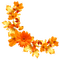 Leaves.Flowers.Gold.Orange.Red - png gratuito GIF animata