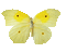 butterflies katrin - Bezmaksas animēts GIF animēts GIF
