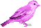 Kaz_Creations Deco Birds Bird Colours - Gratis geanimeerde GIF geanimeerde GIF