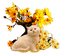 Tournesol94 chat - Free PNG Animated GIF