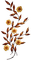 blomma-flowers-brun - PNG gratuit GIF animé