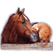 caballo  gato dubravka4 - безплатен png анимиран GIF