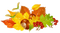 Herbstblätter, Kastanien - gratis png animerad GIF