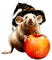 halloween mouse by nataliplus - png grátis Gif Animado