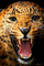 tigre - GIF animado grátis Gif Animado