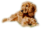 patymirabelle chien - zadarmo png animovaný GIF