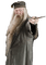 Harry Potter milla1959 - 免费PNG 动画 GIF