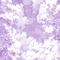 Y.A.M._Japan Anime Spring landscape purple - GIF เคลื่อนไหวฟรี GIF แบบเคลื่อนไหว
