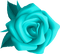 Kaz_Creations Flower Colours - gratis png geanimeerde GIF