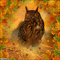 MMarcia gif coruja outono - Bezmaksas animēts GIF animēts GIF
