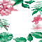 loly33 frame fleur exotique - Nemokamas animacinis gif animuotas GIF